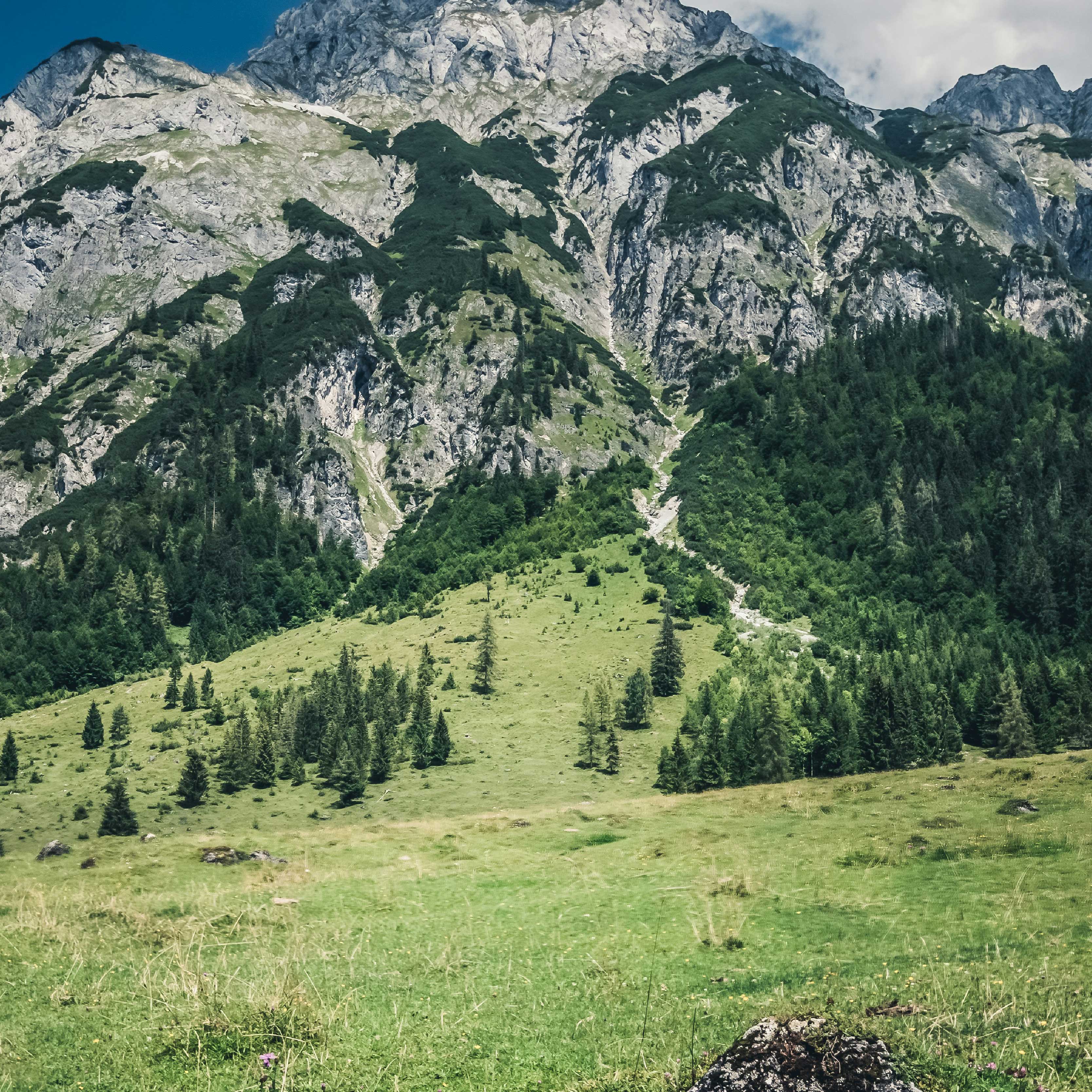 ALPINE HEILMOOR EXTRACT